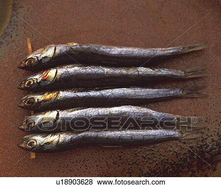 Stock Photo - Skewered fishes, side view. Fotosearch