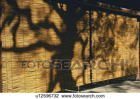 Stock Image - Bamboo blind. Fotosearch