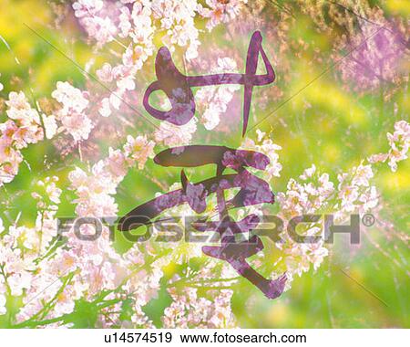 Stock Photo - Cherry flowers and Japanese character in the center, Computer Graphics, composition, differential focus. Fotosearch