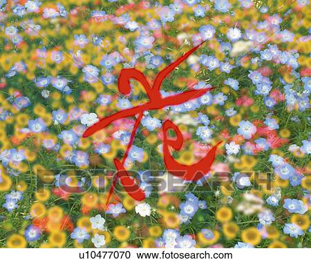 Stock Image - Field of colorful flowers and Japanese character in the center, high angle view, full frame, Computer Graphics, composition, differential focus. Fotosearch