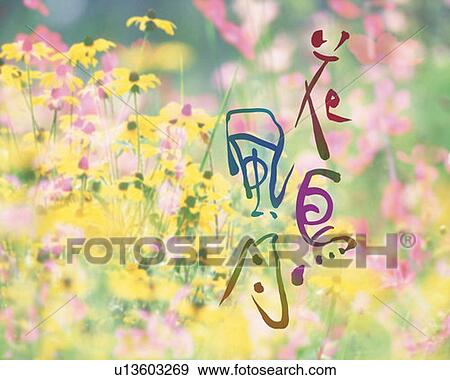 Stock Photo - Field of colorful flowers and Japanese characters, Computer Graphics, composition, differential focus. Fotosearch