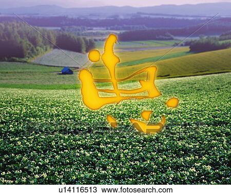 Stock Image - Field of flowers and Japanese character meaning in the center, high angle view, Computer Graphics, composition. Fotosearch