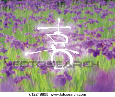 Field of iris and lighting Japanese character in the center, high angle view, full frame, Computer Graphics, composition, differential focus View Large Photo Image Stock Photography - Field of iris and lighting Japanese character in the center, high angle view, full frame, Computer Graphics, composition, differential focus. Fotosearch