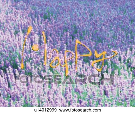 Stock Photo - Field of purple flowers and image of the word Happy, high angle view, full frame, Computer Graphics, composition. Fotosearch