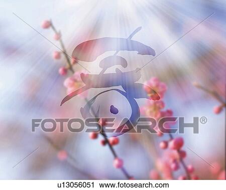 Flowers and buds on branch of Japanese plum and Japanese character, Computer Graphics, composition, differential focus View Large Photo Image Stock Image - Flowers and buds on branch of Japanese plum and Japanese character, Computer Graphics, composition, differential focus. Fotosearch