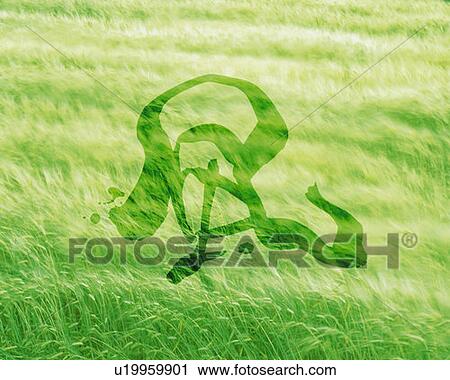 Grassland and Japanese character in the center, high angle view, Computer Graphics, composition, full frame View Large Photo Image Stock Image - Grassland and Japanese character in the center, high angle view, Computer Graphics, composition, full frame. Fotosearch