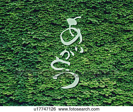 Stock Photograph - Green leaves and Japanese word in the center, Computer Graphics, composition, full frame. Fotosearch
