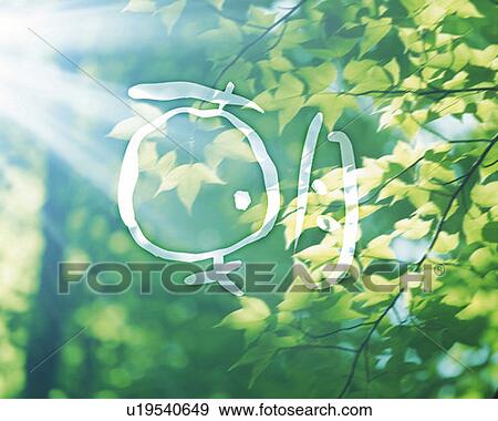 green leaves in the morning and Japanese character, Computer Graphics, composition, lens flare, differential focus View Large Photo Image Stock Photo - green leaves in the morning and Japanese character, Computer Graphics, composition, lens flare, differential focus. Fotosearch