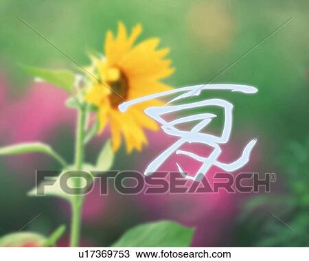 Japanese character with image of sunflower, Computer Graphics, composition, soft focus, differential focus View Large Photo Image Stock Image - Japanese character with image of sunflower, Computer Graphics, composition, soft focus, differential focus. Fotosearch