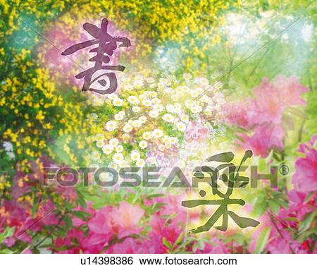 Stock Photograph - Various flowers and Japanese characters, Computer Graphics, composition, differential focus. Fotosearch