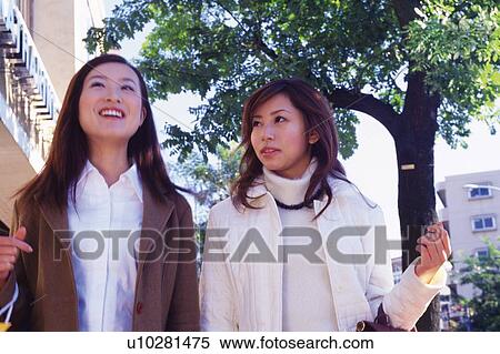 Stock Photography - Field of red tulips under the blue sky, low angle view, copy space. Fotosearch