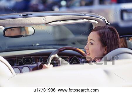 Stock Photograph - Yellow tulips under the blue sky, low angle view, copy space. Fotosearch