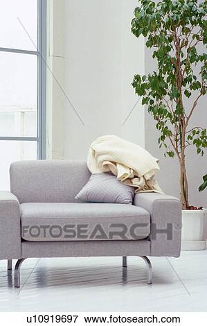 Stock Photo -  a Living room With a House Plant and a Grey Sofa, Front View. Fotosearch