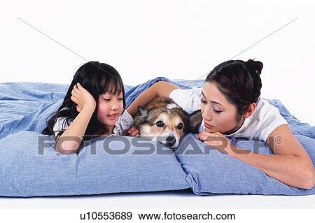 Stock Photo - Mother and daughter with their Pembroke Welsh Corgi, all Lying in Bed Together, Front View. Fotosearch