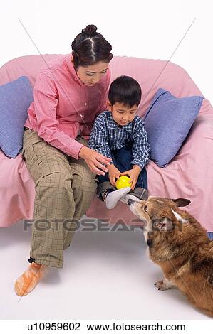 Mother and son playing with a Pembroke Welsh Corgi, sitting on a pink sofa, High Angle View View Large Photo Image Stock Image - Mother and son playing with a Pembroke Welsh Corgi, sitting on a pink sofa, High Angle View. Fotosearch
