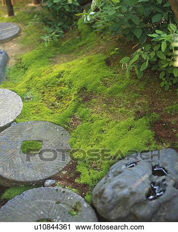Stock Image - Stones in Japanese garden, Japan, high angle view. Fotosearch