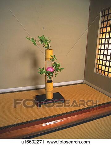 An Alcove View Large Photo Image Stock Image - An Alcove. Fotosearch