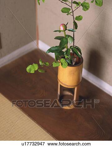 An Alcove View Large Photo Image Stock Photo - An Alcove. Fotosearch