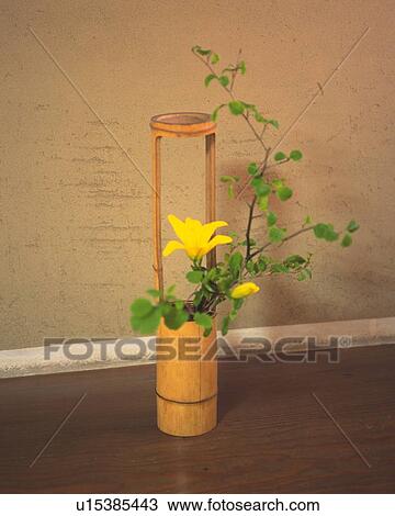 Flowers Arranged in Vase View Large Photo Image Stock Image - Flowers Arranged in Vase. Fotosearch