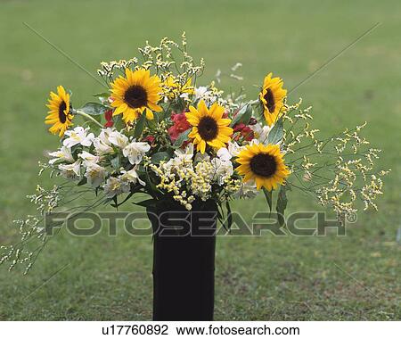 Stock Image - Flowers Arranged in Vase. Fotosearch