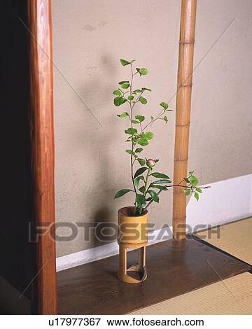 Flowers Arranged in Vase View Large Photo Image Stock Photo - Flowers Arranged in Vase. Fotosearch