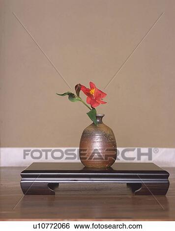 Stock Photograph - Flowers Arranged in Vase. Fotosearch