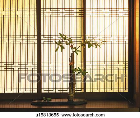 Stock Photography - Flowers Arranged in Vase. Fotosearch