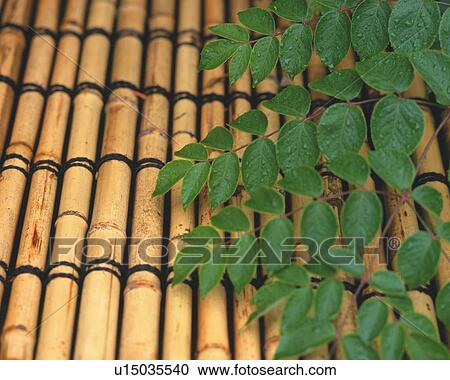 Stock Image - Japanese Garden. Fotosearch