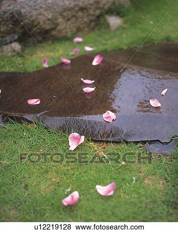 Stock Photo - Japanese Garden. Fotosearch