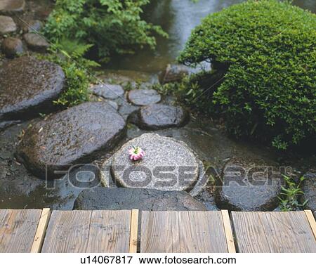 Stock Photo - Japanese Garden. Fotosearch