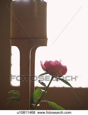 Stock Photo - Japanese Style. Fotosearch