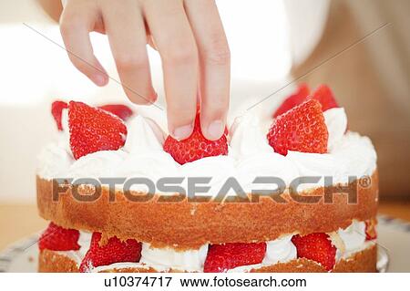 Stock Photo - Shortcake, close up. Fotosearch