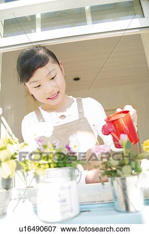 A Young Girl watering a flower View Large Photo Image Stock Photo - A Young Girl watering a flower. Fotosearch