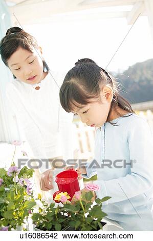 Young Girls watering flowers View Large Photo Image Stock Image - Young Girls watering flowers. Fotosearch
