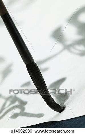 Brush, close up View Large Photo Image Stock Photograph - Brush, close up. Fotosearch