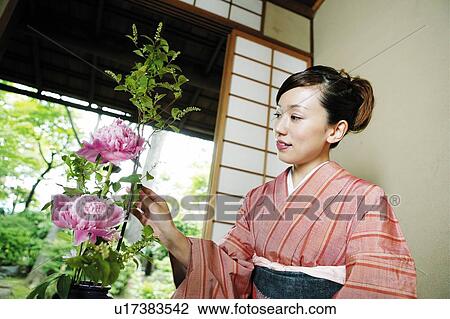 Woman putting on a kimono, kado View Large Photo Image Stock Image - Woman putting on a kimono, kado. Fotosearch