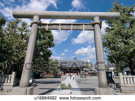 Day, Outdoor, Trees View Large Photo Image Stock Image - Day, Outdoor, Trees. Fotosearch