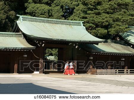 Day, Outdoor, Trees View Large Photo Image Stock Photography - Day, Outdoor, Trees. Fotosearch