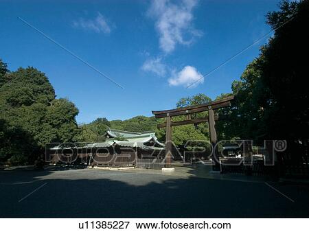 Stock Photo - Gate, Tree, Wood, Blue Sky. Fotosearch