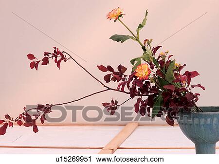 Leaves, Pot, Indoor, Potted Plant, One Object View Large Photo Image Stock Image - Leaves, Pot, Indoor, Potted Plant, One Object. Fotosearch