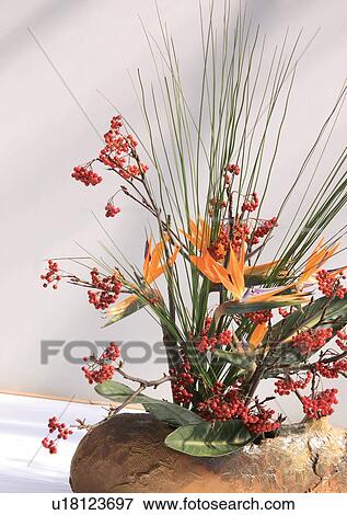 Stock Photo - Leaves, Pot, Indoor, Potted Plant, One Object. Fotosearch