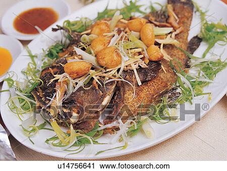 Stock Image - Indoor, Close-Up. Fotosearch