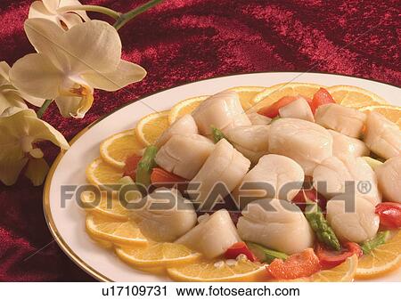 Stock Image - Indoor, Close-Up. Fotosearch