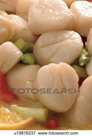 Stock Photo - Indoor, Close-Up. Fotosearch