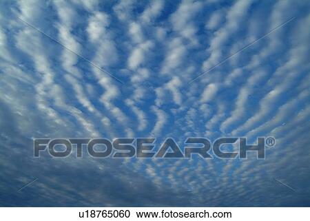 Stock Image - Cirrocumulus, low angle view, full frame. Fotosearch