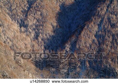 Stock Image - Mountain side in winter, high angle view, Nagano prefecture, Japan. Fotosearch
