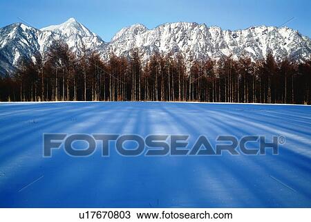 Stock Image - Snowy landscape in Togakushi, Nagano prefecture, Japan. Fotosearch