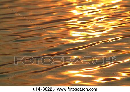Surface of lake reflecting sunshine, high angle view, full frame, Shiga prefecture, Japan View Large Photo Image Stock Photography - Surface of lake reflecting sunshine, high angle view, full frame, Shiga prefecture, Japan. Fotosearch