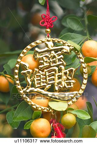 Stock Photo - Chinese New Year, Celebrations, Chinese Culture, New Year, Circular, Citrus Fruit, Close-Up. Fotosearch