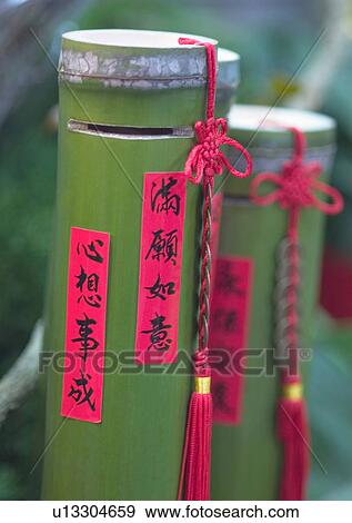 Chinese New Year, Celebrations, New Year, Bamboo, Bamboo Shoot, Chinese Script, Close-Up View Large Photo Image Stock Photo - Chinese New Year, Celebrations, New Year, Bamboo, Bamboo Shoot, Chinese Script, Close-Up. Fotosearch